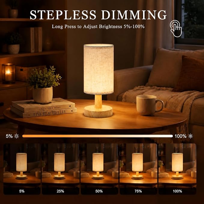 Mini Cordless LED Night Light, Rechargeable Touch Control Bedside Lamp | Portable Minimalist Table Lamp, 3 Color Modes, Stepless Dimmable, Built-in 4000mAh Battery, Decor for Bedroom & Living Room