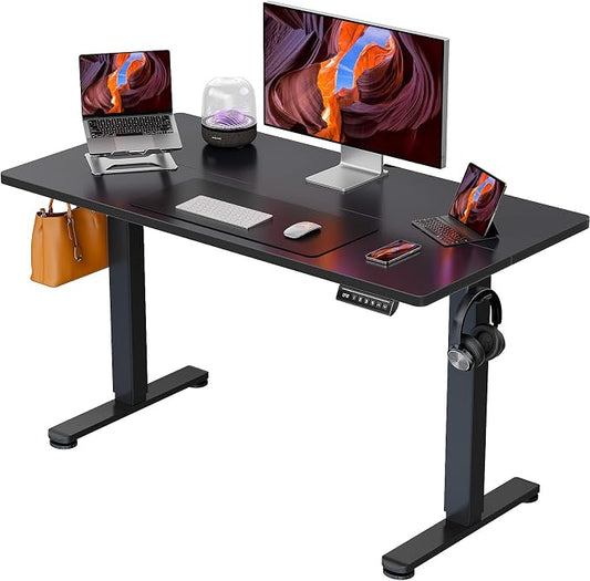 ErGear Height Adjustable Electric Standing Desk, 44 x 24 Inches Sit Stand up Desk, Memory Computer Home Office Desk, Black