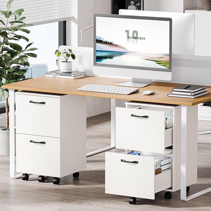 OLIXIS 2 Drawer File Cabinet, Printer Stand with Storage Cabinet | Wood Under Desk Storage Organization Holds Printer, Office Supplies, Not For Hanging Files, Fit Home Office White