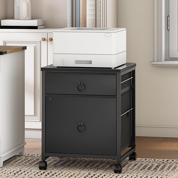 HOOBRO File Cabinet, 2-Drawer Vertical Mobile Office Cabinet, Rolling Printer Stand, for A4/Letter Size Files, Nonwovens Drawer, for Home Office, Black BB21WJ01