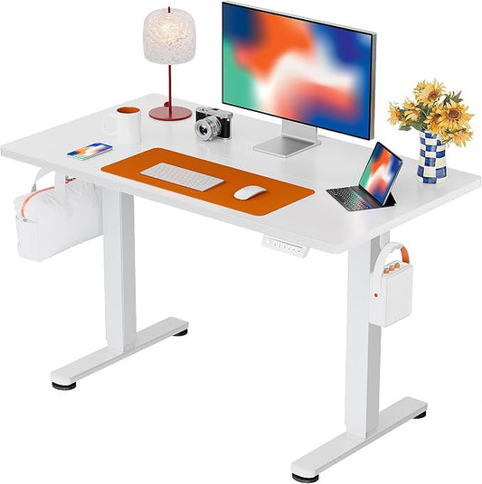ErGear Height Adjustable Electric Standing Desk, 44 x 24 Inches Sit Stand up Desk, Memory Computer Home Office Desk, White