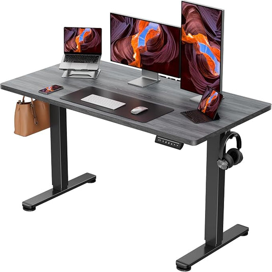 ErGear Height Adjustable Electric Standing Desk, 48 x 24 Inches Sit Stand up Desk, Memory Computer Home Office Desk, Grey