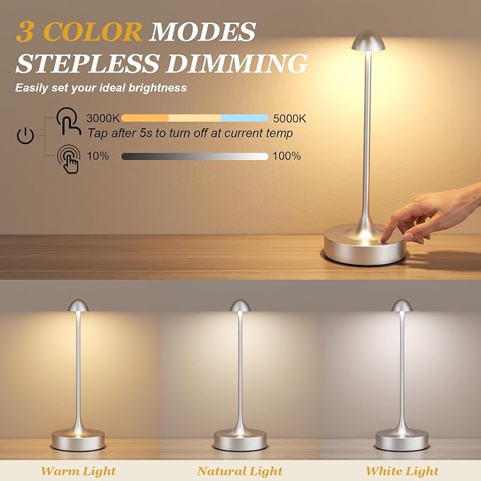 Kakanuo Rechargeable Cordless Table Lamp, Battery Operated Lamps, 3-Color Stepless Dimming, Portable Wireless Desk Lamp, LED Lighting for Dining Room, Restaurant, Office, Bar, Home(Silver 2 Pack)