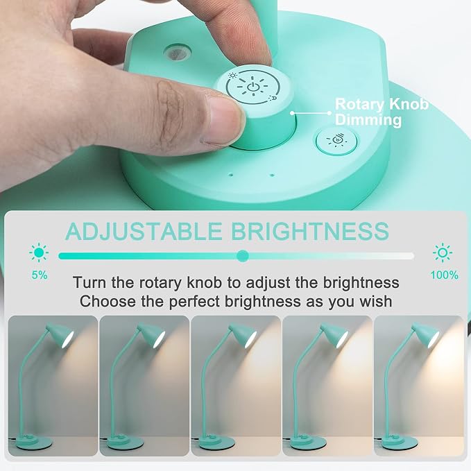 BOHON LED Desk Lamp with USB Charging Port, 3 Color Modes Dimmable, Teal | Reading Lamp, Auto Dimming Task Lamp, Flexible Neck Table Light for Office Dorm Bedside, Adapter Include