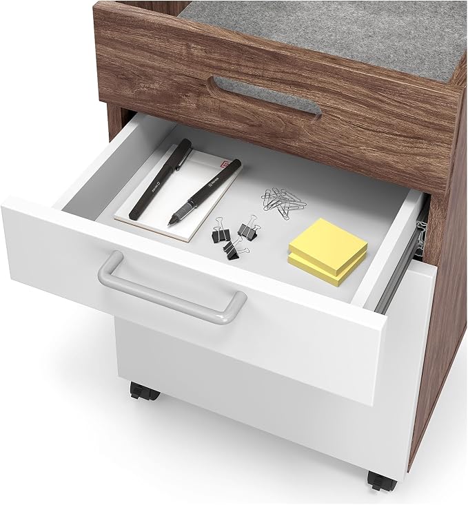 Union & Scale 2 Drawer Mobile File Cabinet, Rolling Printer Stand, Vertical Filing Cabinet, Office Drawers, Filing Cart for Home Office, A4/Letter Size, Black and Rustic Brown BFK20WJ01