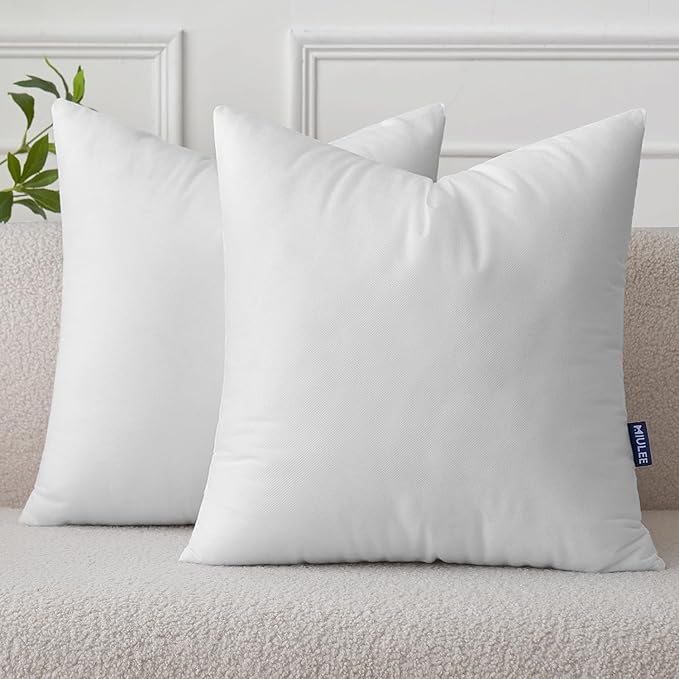 MIULEE Pillow Insert 20x20 Inch Set of 2 Decorative Throw Pillow Inserts | Premium Fluffy Pillow Forms Sham Stuffer for Sofa Couch Living Room