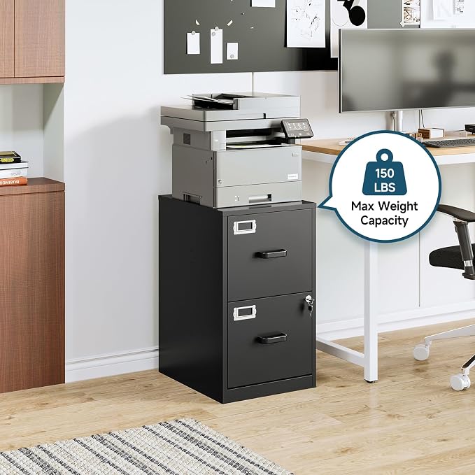 MIIIKO 2 Drawer Filing Cabinet with Lock, Metal Vertical File Cabinets for Home Office, Lockable File Storage Cabinets Under Desk, Letter/A4 File Folders Storage(Assembly Required)