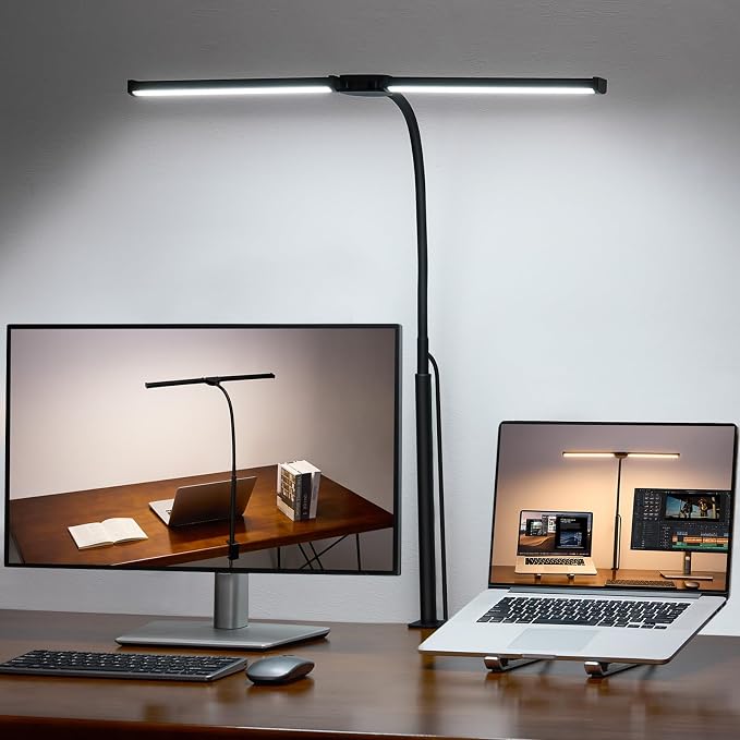 LED Desk Lamp for Home Office, Double Head Desk Light with Clamp | 3 Modes 10 Brightness, Long Flexible Goose-Neck, Eye-Caring, Memory Function, Energy Efficient, USB Adapter, Metal, Black