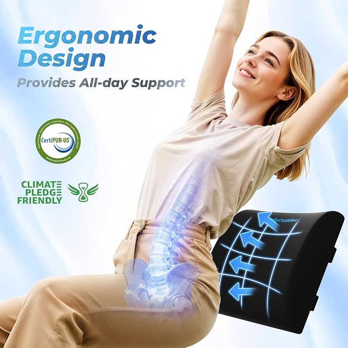 Lumbar Support Pillow, Ergonomic Back Cushion for Office Chair, Black/Large | Memory Foam Back Pillow with Adjustable Strap for Long-Hour Sitting , Gaming Chair, Back Support for Pain Relief