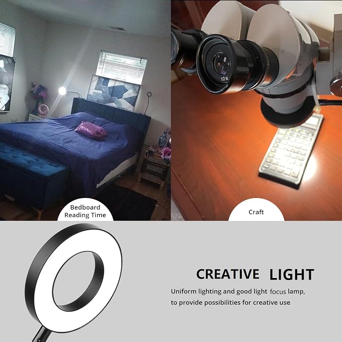 Woputne Desk Lamps Clip on Reading Light for Bed Home Office Craft (Black) | With 5V 2A Adapter, 10 Dimmable Brightness 3 Modes, Flexible Neck Light Desk Lamps for Home Office Headboard