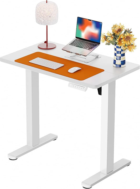 ErGear Height Adjustable Electric Standing Desk, 32 x 19 Inches Sit Stand up Desk with Memory Presets, Computer Home Office Desk, White