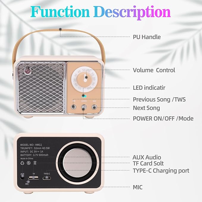 Dosmix Retro Bluetooth Speaker, Vintage Decor, Wireless Bluetooth Speakers, Cute Old Fashion Style for Kitchen Desk Bedroom Office Party Outdoor Kawaii Accessories (Smoke Green)
