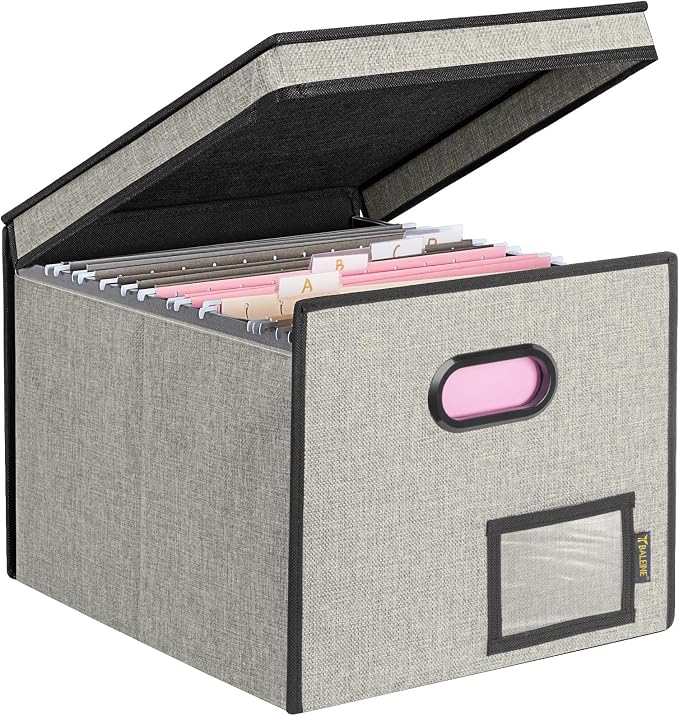 BALEINE File Organizer Box with Lid, Collapsible Hanging File Storage Box | Smooth Plastic Rails, Textured Fabric Exterior, Collapsible Hanging File Folder Box for Office Document Storage