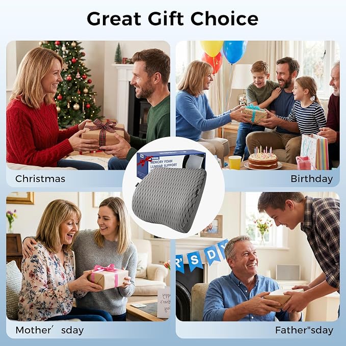 Lumbar Support Pillow for Car & Office Chair - High-Density Memory Foam for Sciatica & Lower Back Pain Relief - Non-Slip Back Support Cushion for Long Commutes & Desk Workers (4D Mesh Gray)