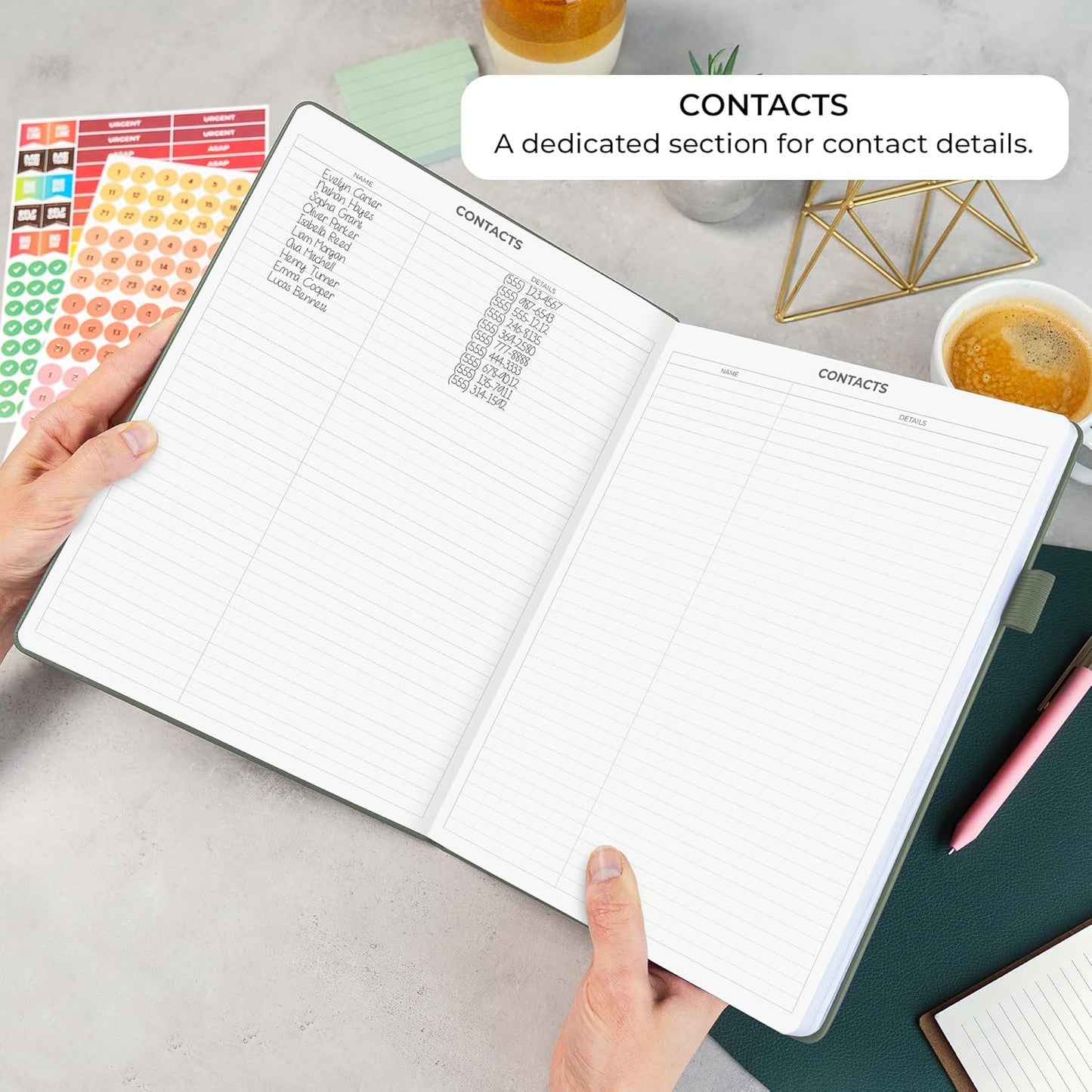 Clever Fox Appointment Book – Hourly Schedule Planner with 15-Minute Increments – Time Box Planner for Daily Work & To-Dos – Weekly & Monthly Spreads, Undated, Hardcover, 8.3x11″ (Cypress)