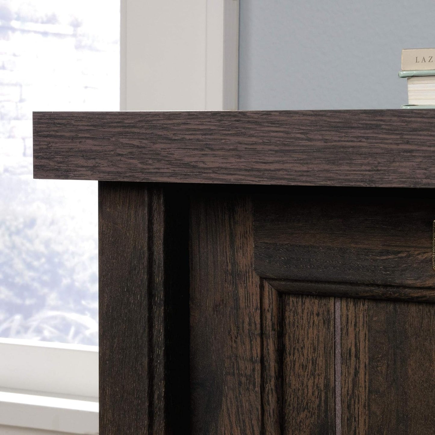 Sauder Costa Lateral File Cabinet, 2-Drawer, Coffee Oak, Locking, Rustic Cottage Style