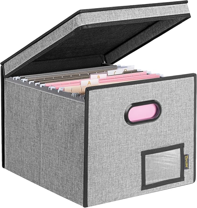 BALEINE File Organizer Box with Lid, Collapsible Hanging File Storage Box | Smooth Plastic Rails, Textured Fabric Exterior, Collapsible Hanging File Folder Box for Office Document Storage