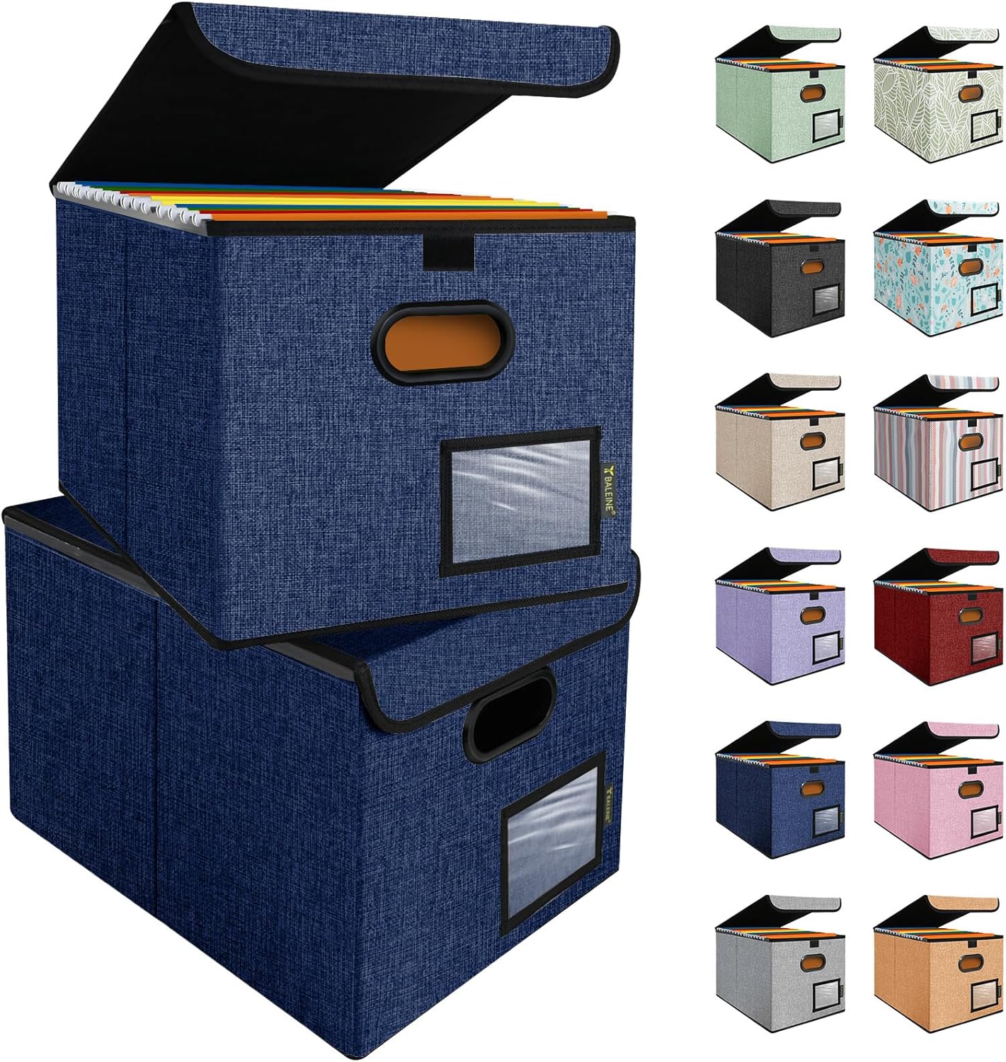 BALEINE File Organizer Box with Lid, Collapsible File Folder Organizer with Plastic Slide, Hanging File Folder Box for Office Document Storage (2 Pack, Blue)