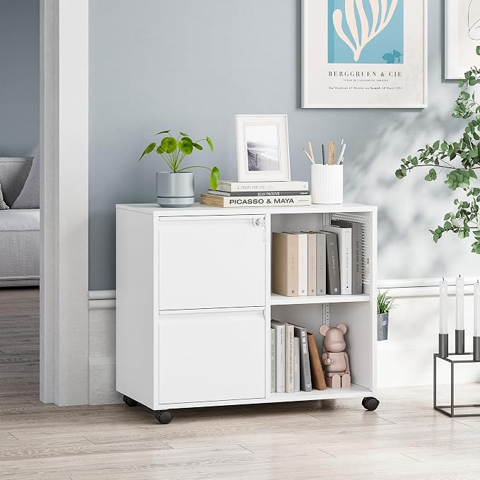 MIIIKO 2 Drawer File Cabinet with Lock, Metal Rolling Printer Stand Filing Cabinets with Drawers for Home Office,A4, Letter Size File Folders(White)
