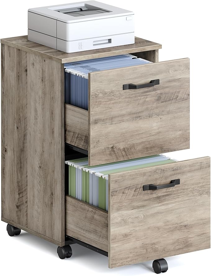 VASAGLE 2-Drawer File Cabinet, Small Rolling Filing Cabinet for Home Office, Printer Stand, for A4, Letter-Size Documents, 15.7 x 16.5 x 27.6 Inches, Heather Greige UOFC040LK02S
