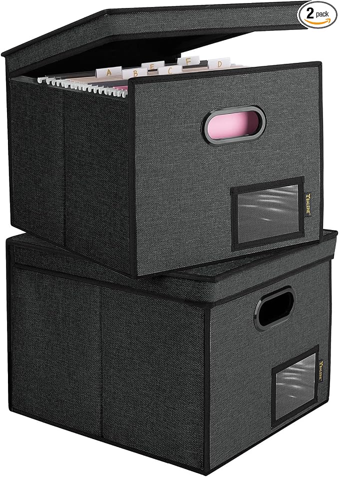 BALEINE File Organizer Box with Lid, Collapsible Hanging File Storage Box | Smooth Plastic Rails, Textured Fabric Exterior, Collapsible Hanging File Folder Box for Office Document Storage