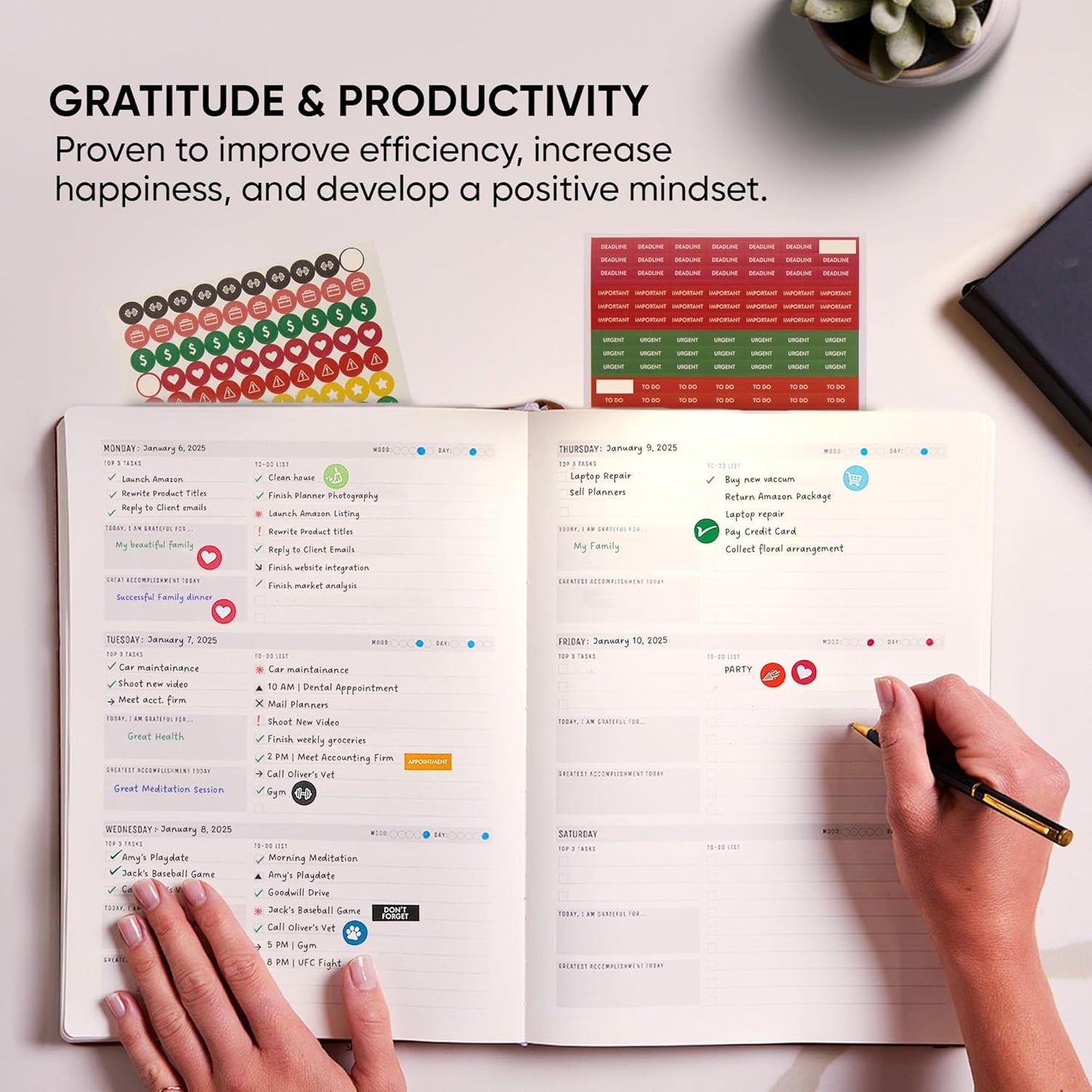 Undated, 2025 Planner, 8.5" x 11" - The #1 Productivity Planner to Achieve Your 2025 Goals - Planner 2025-2026 by PRODUCTIVITY STORE (A4, BLACK)