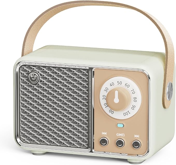 Dosmix Retro Bluetooth Speaker, Vintage Decor, Wireless Bluetooth Speakers, Cute Old Fashion Style for Kitchen Desk Bedroom Office Party Outdoor Kawaii Accessories (Smoke Green)