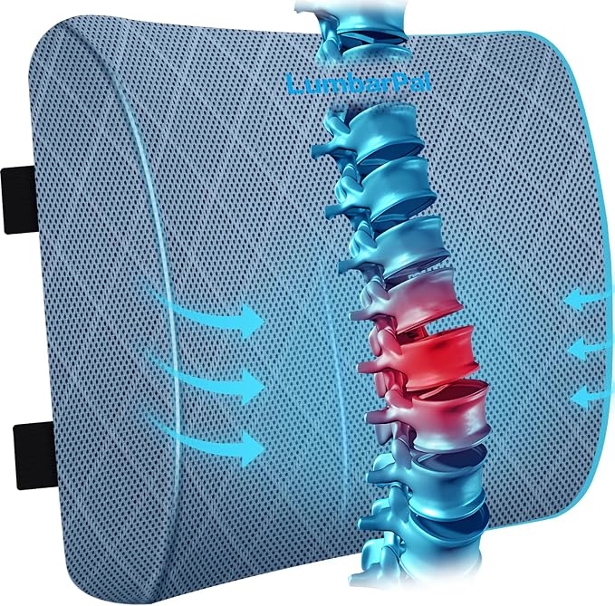 Lumbar Support Pillow for Office Chair, Back Support, Memory Foam, Light Blue