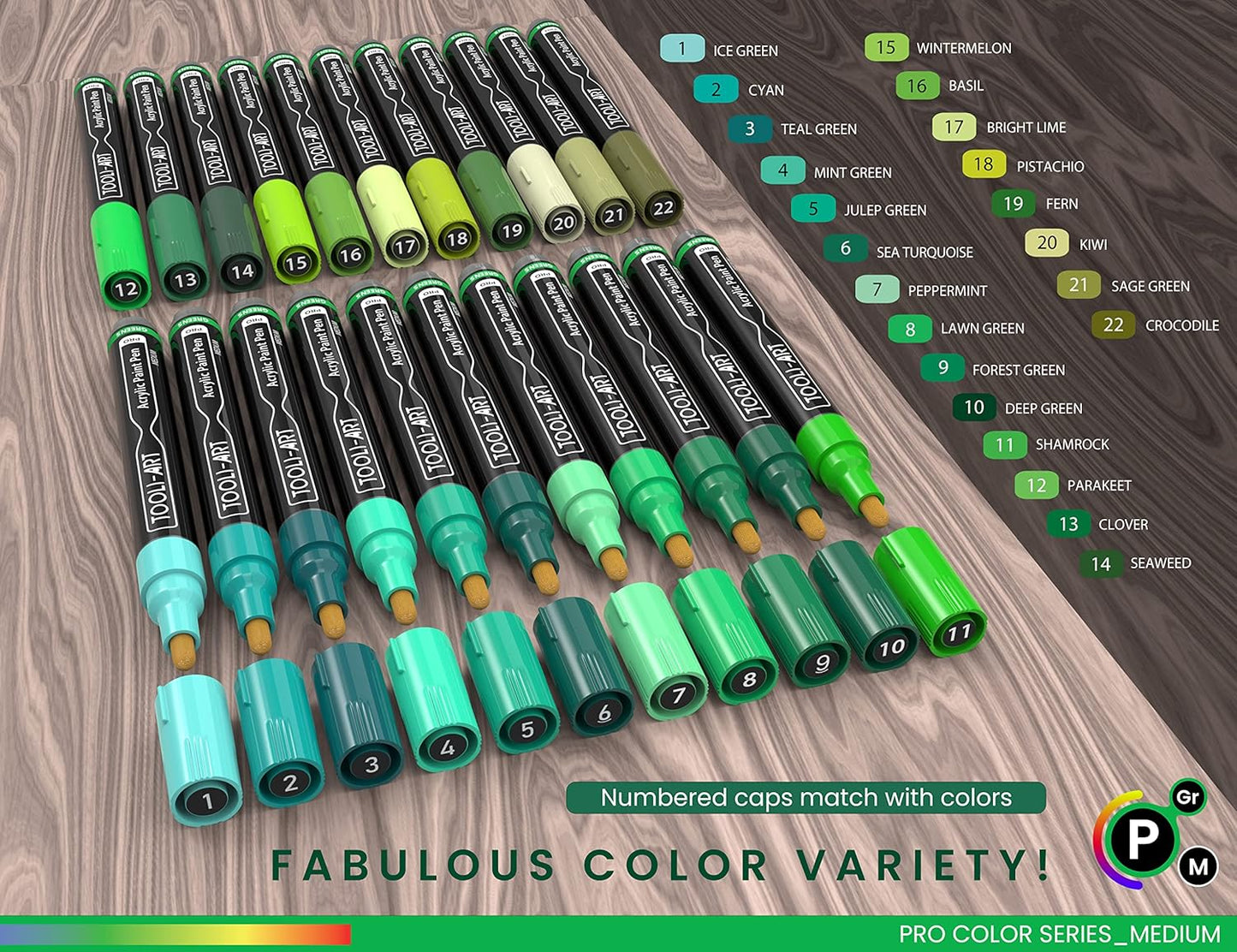 TOOLI-ART 22 Acrylic Paint Markers Paint Pens Pro Color Series Set 3mm Medium Tip for Rock Painting, Glass, Mugs, Wood, Metal, Glass Paint, Canvas, DIY. Non Toxic, Waterbased, Quick Drying (GREENS)