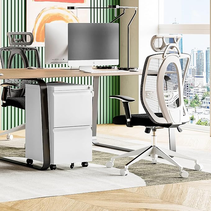 MIIIKO 2 Drawer File Cabinet with Lock, Home Office Filing Cabinets on Wheels, Under Desk 2 Drawers Storage for Legal/Letter/A4 Files,Fully Assembled