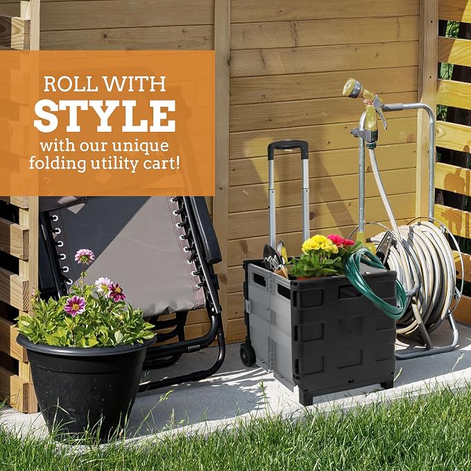Ultra-Slim Rolling Collapsible Storage Pack-N-Roll Utility-carts, with Telescopic Handle, for Home, Garden, Shopping, Office, School use, Medium, Grey & Black