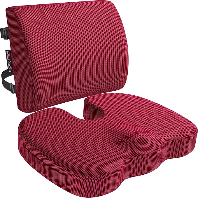FORTEM Seat Cushion, Office Chair Cushion, Lumbar Support Pillow for Office Chair, Memory Foam Car Seat Cushions, Sciatica Coccyx Tailbone Pain Relief, Cushions for Back Support, Washable, Non Slip